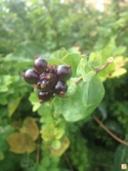 ygy3eqat.jpg ygy3eqat.jpg