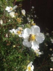 a5yzu7a7.jpg a5yzu7a7.jpg