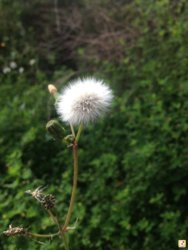 y2u5erat.jpg y2u5erat.jpg