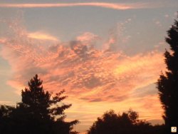 e7ygavu7.jpg e7ygavu7.jpg