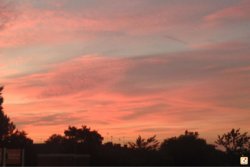 edusanuv.jpg edusanuv.jpg