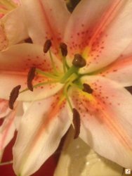 by7u7e4e.jpg by7u7e4e.jpg