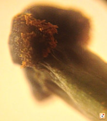 2adahy9e.jpg 2adahy9e.jpg