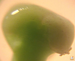 ysydy2e5.jpg ysydy2e5.jpg