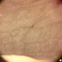 egene4a4.jpg egene4a4.jpg