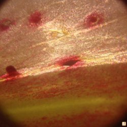 2y3uguva.jpg 2y3uguva.jpg