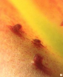 a6ugaqy7.jpg a6ugaqy7.jpg