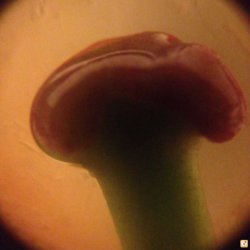 6utu5ysy.jpg 6utu5ysy.jpg