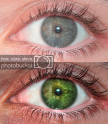 eyez_zps595a713f.png eyez_zps595a713f.png