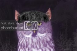 contest-cute-animal.jpg contest-cute-animal.jpg