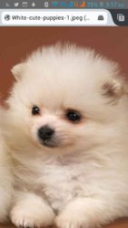 34ca94e65f01fdb136e4d337dc631892.jpg 34ca94e65f01fdb136e4d337dc631892.jpg