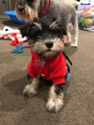 b77f35b0386a4cf09eb8d4183e60056e.jpg b77f35b0386a4cf09eb8d4183e60056e.jpg