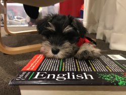 92b44fabcef6bc7b39cf26b27d0a8689.jpg 92b44fabcef6bc7b39cf26b27d0a8689.jpg