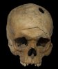 cashew-plantation-skull-253x300.jpg