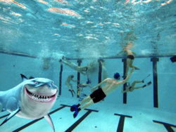 1593-After-UVR.jpg 1593-After-UVR.jpg