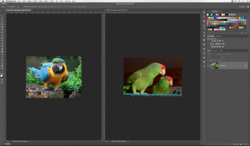 Screen Shot 2019-10-01 at 7.56.20 AM.png