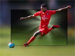 Player.jpg Player.jpg