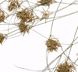 Screen Shot 2019-10-28 at 9.46.42 AM chrisdesign.jpg Screen Shot 2019-10-28 at 9.46.42 AM chrisdesign.jpg