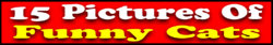 text banner large size.jpg