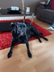 img001.jpg img001.jpg