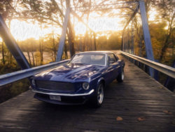 Mustang-Oil Paint.jpg