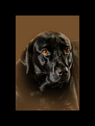 Best-Friend-2.jpg Best-Friend-2.jpg