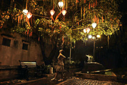 tree lights standing 2 edited.jpg