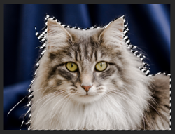 Screen Shot 2019-11-25 at 3.41.16 PM.png Screen Shot 2019-11-25 at 3.41.16 PM.png