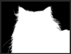 Screen Shot 2019-11-25 at 3.40.50 PM.png Screen Shot 2019-11-25 at 3.40.50 PM.png