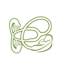 STET GREEN.jpg STET GREEN.jpg