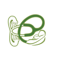 STET-GREEN-filled.jpg STET-GREEN-filled.jpg