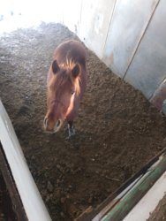 DSC_0503 m.JPG DSC_0503 m.JPG