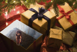 Christmas Horse 01.jpg Christmas Horse 01.jpg