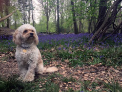 IMG-20191210-WA0000 (12).jpg