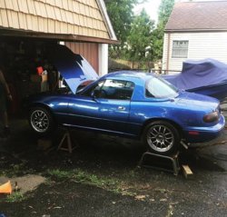 IMG_0272.jpg IMG_0272.jpg