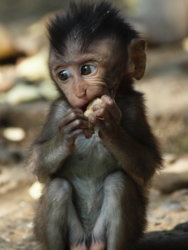 5220501828_2eb41fa00f_b.jpg 5220501828_2eb41fa00f_b.jpg