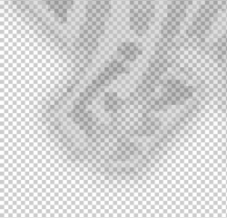 Screen Shot 2019-12-31 at 10.21.52 AM.png Screen Shot 2019-12-31 at 10.21.52 AM.png