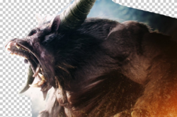 Image 841.png Image 841.png