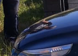 Screen Shot 2020-01-15 at 11.15.26 AM.png