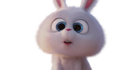 xxx-Rabbit 01.jpg xxx-Rabbit 01.jpg