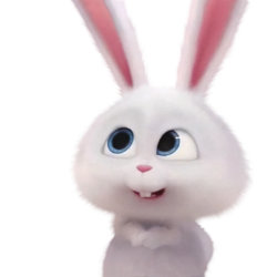 xxx-Rabbit 02.jpg xxx-Rabbit 02.jpg