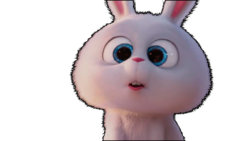 bunny-wabbit1.jpg