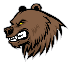 kisspng-grizzly-bear-royalty-free-bear-head-pattern-5ae158674942e6.5090671115247176713001.png