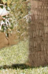 Screen Shot 2020-02-23 at 12.39.10 AM.png Screen Shot 2020-02-23 at 12.39.10 AM.png