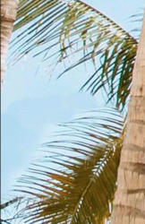 Screen Shot 2020-02-23 at 12.25.34 PM.png Screen Shot 2020-02-23 at 12.25.34 PM.png