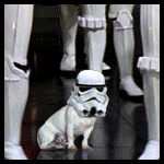 caskkth.gif caskkth.gif