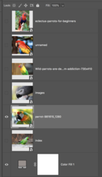 Screen Shot 2020-02-26 at 10.42.54 AM.png Screen Shot 2020-02-26 at 10.42.54 AM.png