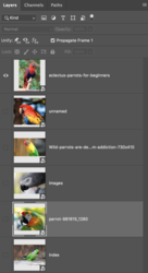 Screen Shot 2020-02-26 at 10.56.44 AM.png Screen Shot 2020-02-26 at 10.56.44 AM.png