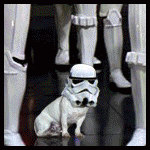 a5VRlNH.gif a5VRlNH.gif