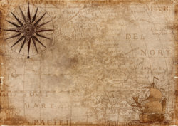 first step.jpg first step.jpg